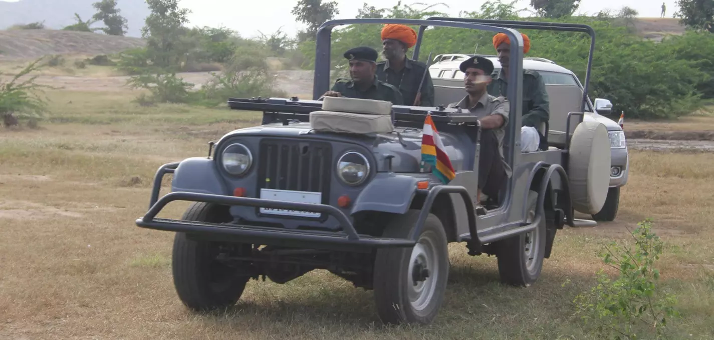 Jawai Leopard Safari